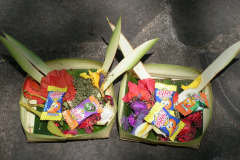 PICT6179