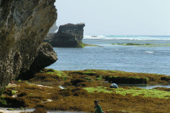 PICT6234