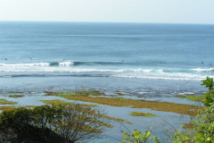 PICT6237