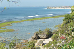 PICT6241