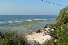 PICT6246