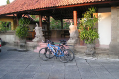 PICT6254