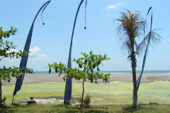 PICT6268