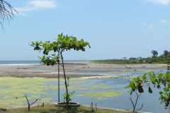 PICT6269