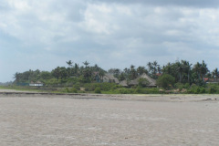 PICT6272