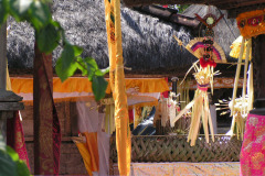 PICT6278