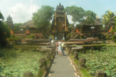 PICT6350