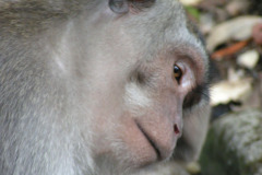 PICT6359