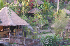 PICT6385