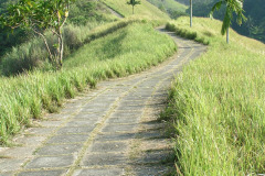 PICT6399