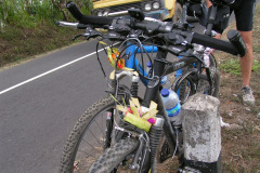 PICT6419