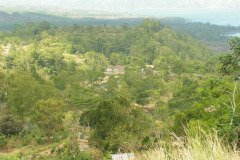 PICT6429