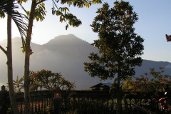 PICT6442