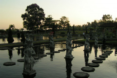 PICT6505