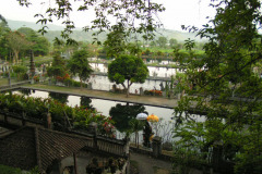 PICT6508