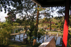 PICT6514