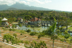 PICT6524
