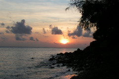 PICT6602