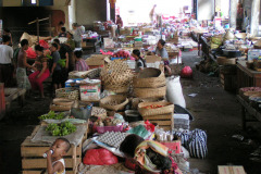 PICT6630