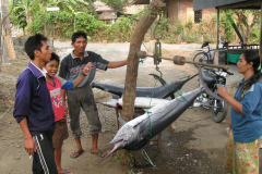 PICT6708