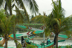 PICT6869