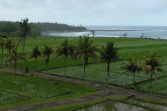 PICT6899