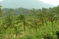 PICT6926