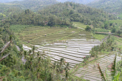 PICT6944