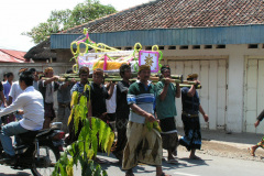 PICT6978
