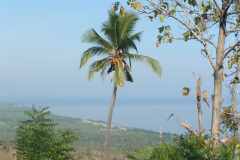 PICT7007
