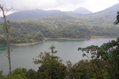 PICT7017
