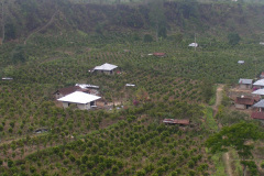 PICT7022