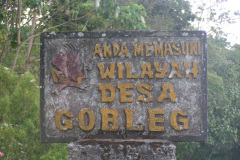 PICT7032