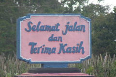 PICT7033