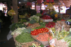 PICT7044