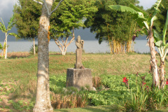 PICT7049