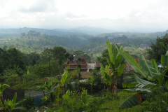 PICT7076