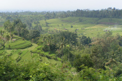 PICT7083