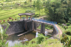 PICT7089
