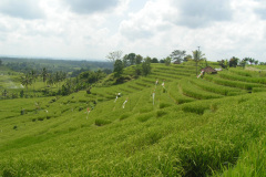 PICT7091