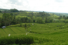 PICT7094