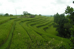 PICT7095