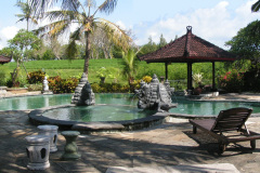 PICT7105a