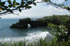 PICT7109