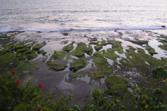 PICT7154