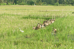 PICT7179