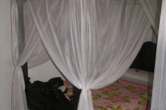 PICT7190