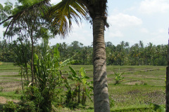PICT7201