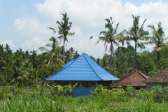 PICT7219