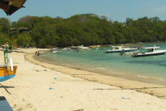 PICT7247